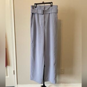 Aritzia Babaton power pants high waisted wide leg